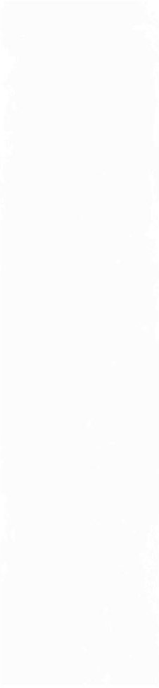 Плитка Magic White 5,85x24 Плитка Magic White 5,85x24