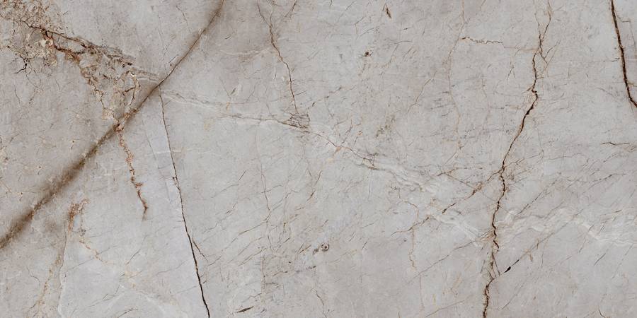 Керамогранит Laparet Silver Root полированный 60х120 (2шт_1,44м2), м2 Керамогранит Laparet Silver Root полированный 60х120 (2шт_1,44м2), м2