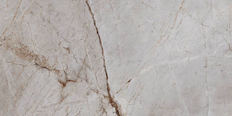 Керамогранит Laparet Silver Root полированный 60х120 (2шт_1,44м2), м2 Керамогранит Laparet Silver Root полированный 60х120 (2шт_1,44м2), м2