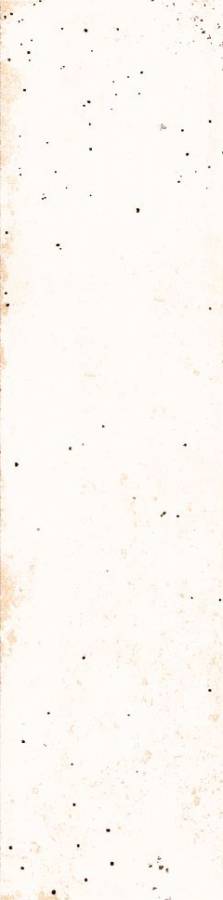 Плитка Aquarelle White 5,8х24 Плитка Aquarelle White 5,8х24