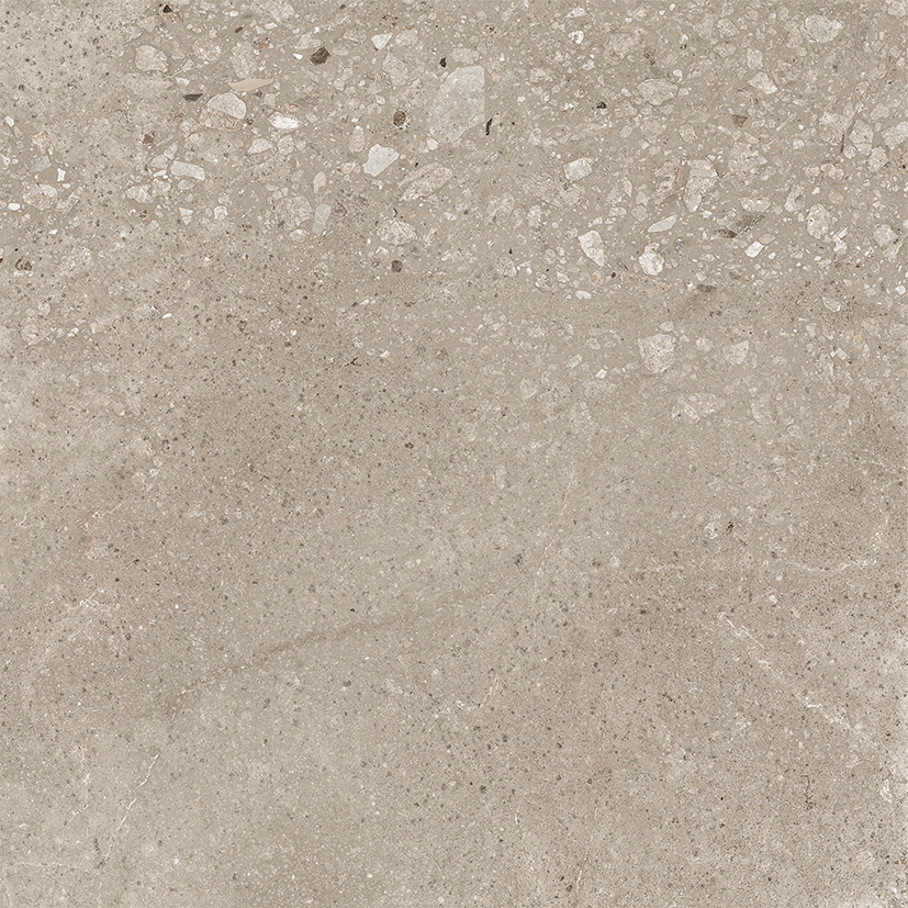 Harley Керамогранит бежевый 50х50 матовый Harley Керамогранит бежевый 50х50 матовый