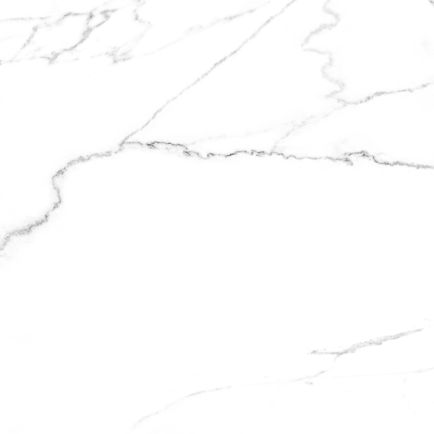 Discovery Blanco Керамогранит белый SG606922R 60х60 полированный Discovery Blanco Керамогранит белый SG606922R 60х60 полированный