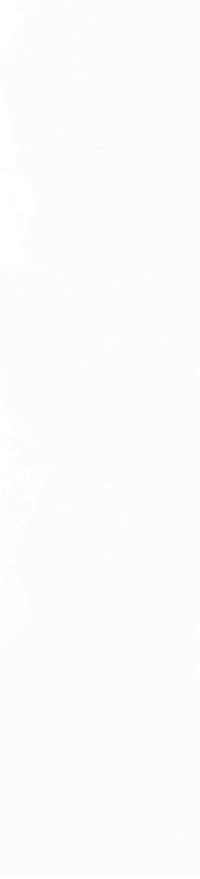 Плитка Magic White 5,85x24 Плитка Magic White 5,85x24