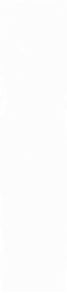 Плитка Magic White 5,85x24 Плитка Magic White 5,85x24