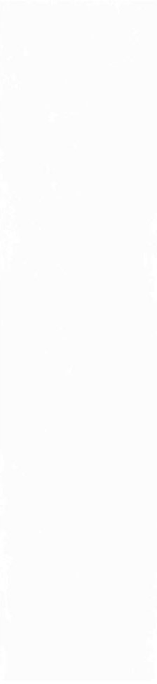 Плитка Magic White 5,85x24 Плитка Magic White 5,85x24