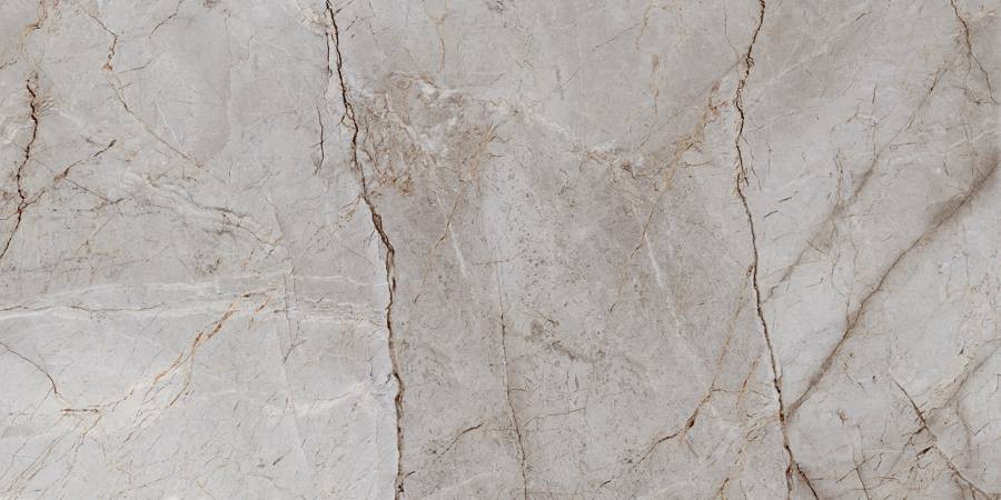 Керамогранит Laparet Silver Root полированный 60х120 (2шт_1,44м2), м2 Керамогранит Laparet Silver Root полированный 60х120 (2шт_1,44м2), м2