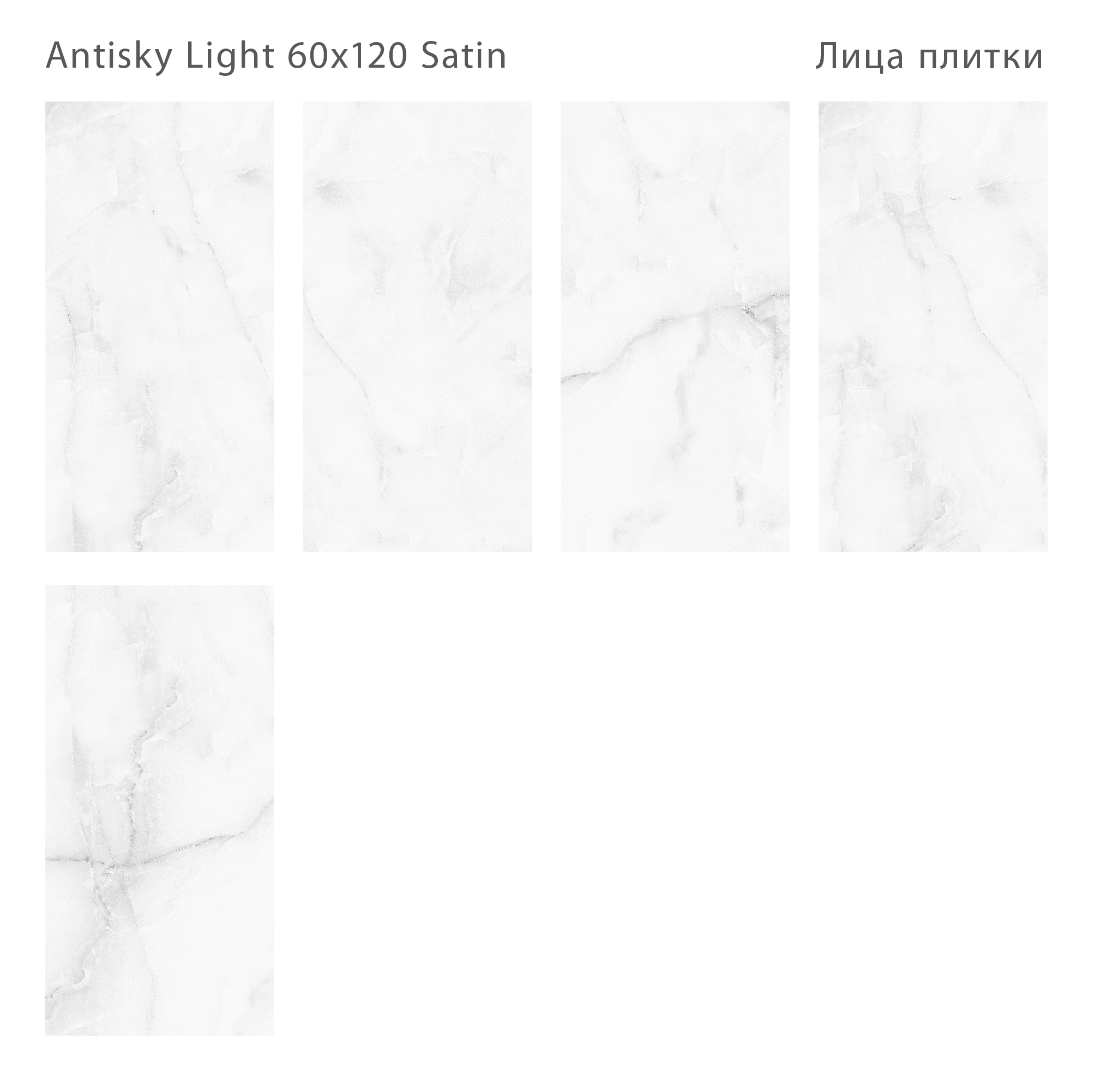 Плитка Antisky Light Grey Satin 60x120 (2 шт.в уп) Плитка Antisky Light Grey Satin 60x120 (2 шт.в уп)