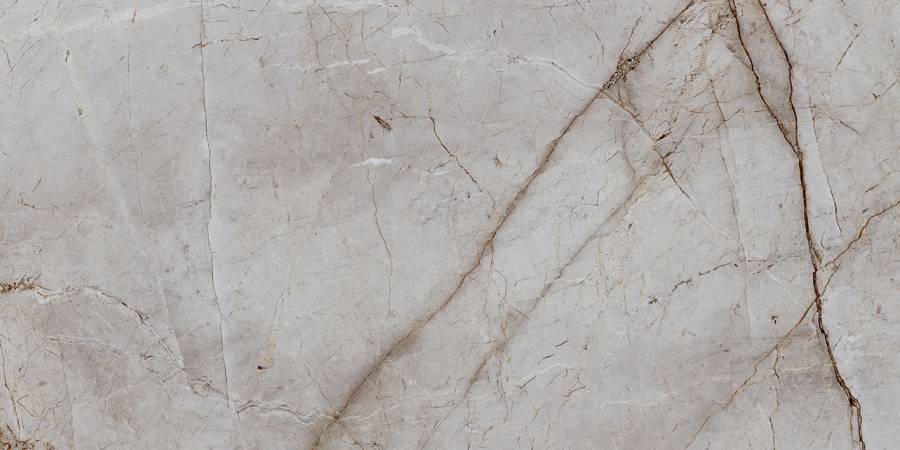 Керамогранит Laparet Silver Root полированный 60х120 (2шт_1,44м2), м2 Керамогранит Laparet Silver Root полированный 60х120 (2шт_1,44м2), м2