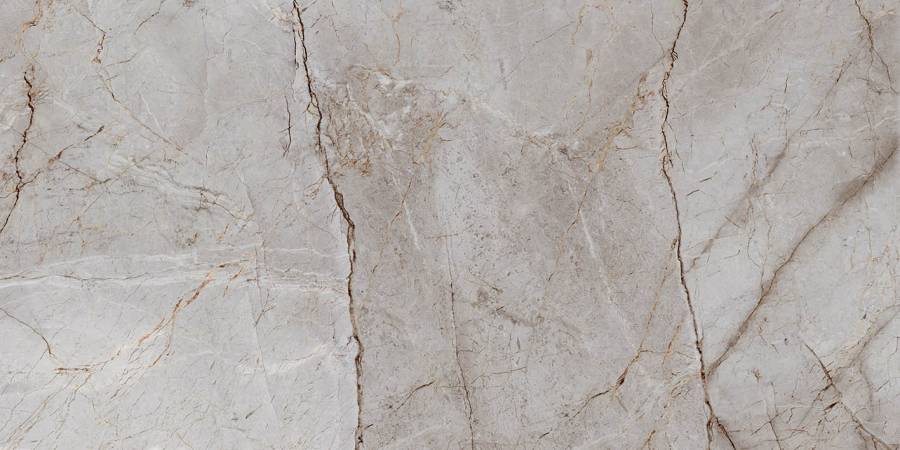 Керамогранит Laparet Silver Root полированный 60х120 (2шт_1,44м2), м2 Керамогранит Laparet Silver Root полированный 60х120 (2шт_1,44м2), м2