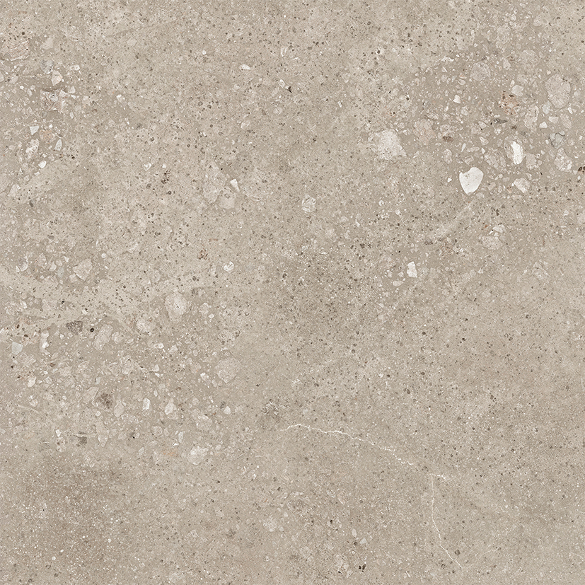 Harley Керамогранит бежевый 50х50 матовый Harley Керамогранит бежевый 50х50 матовый