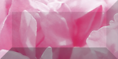 Peony Бордюр рельефный br1020D281-1 20х10 Peony Бордюр рельефный br1020D281-1 20х10