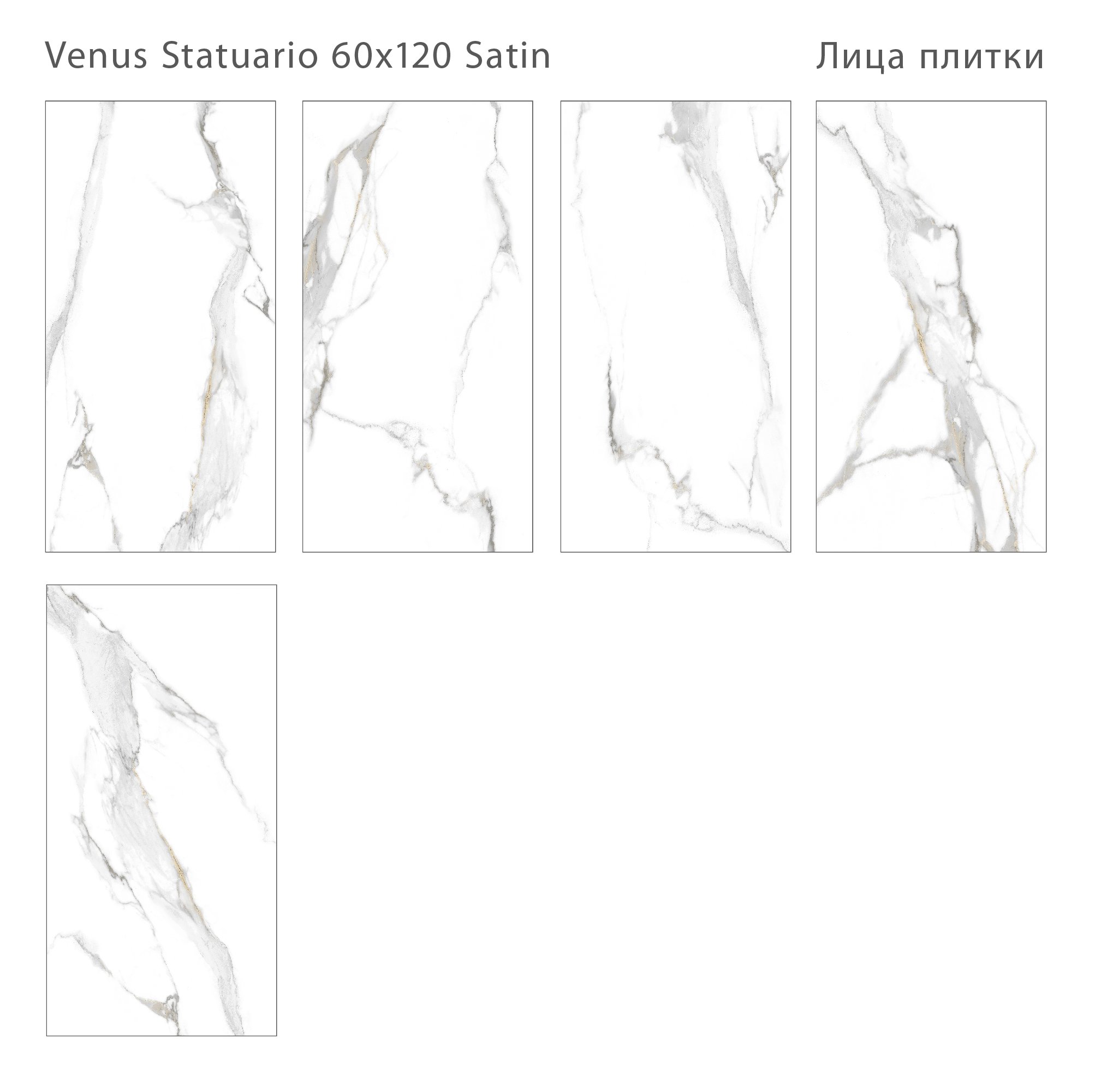 Плитка Venus Statuario Satin 60x120 (2 шт.в уп) Плитка Venus Statuario Satin 60x120 (2 шт.в уп)