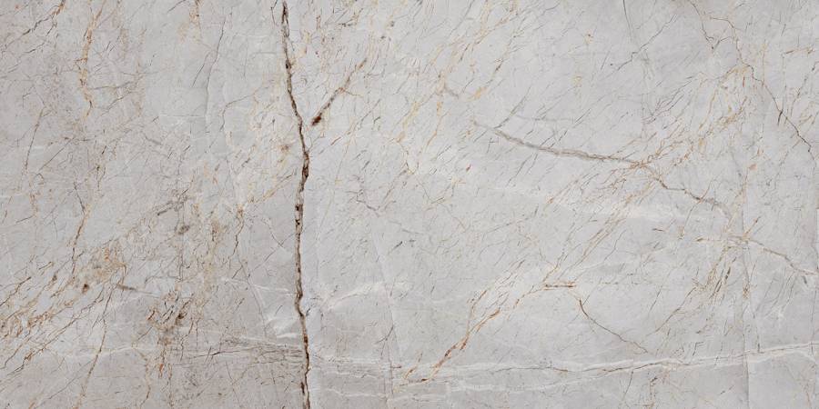 Керамогранит Laparet Silver Root полированный 60х120 (2шт_1,44м2), м2 Керамогранит Laparet Silver Root полированный 60х120 (2шт_1,44м2), м2