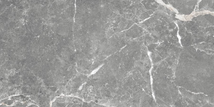 GT99VG Плитка облиц. Capella GT Сер. 50*25 _ 1 \74,25