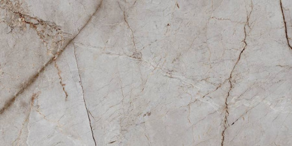 Керамогранит Laparet Silver Root полированный 60х120 (2шт_1,44м2), м2 Керамогранит Laparet Silver Root полированный 60х120 (2шт_1,44м2), м2