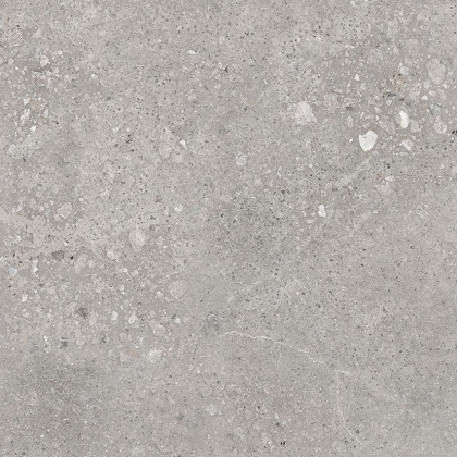 Harley Керамогранит серый 50х50 матовый Harley Керамогранит серый 50х50 матовый