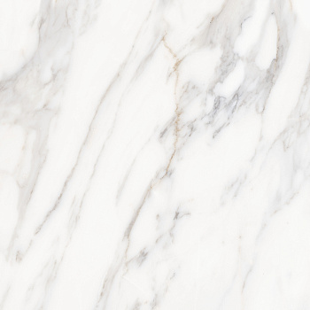 Rex Керамогранит белый 50х50 матовый Rex Керамогранит белый 50х50 матовый