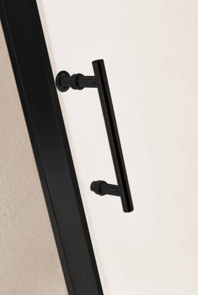 ECO-O-BF-1-120-C-NERO Душевая дверь