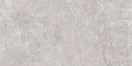 Pluto Silver Керамогранит светло-серый SG50005220R 60х119,5 матовый