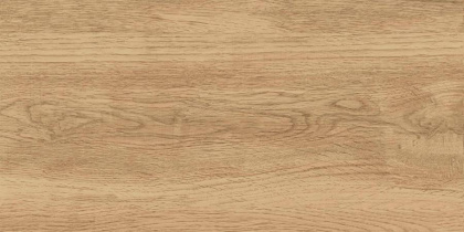 GT220VG Керамогранит Florida_GT Беж. 30x60 1\58,32