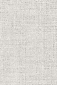 Спинелли серый светлый матовый 20x30x0,69