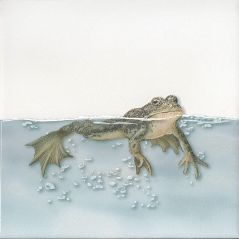 Декор VT\A472\5009 Чудо-озеро 5 белый, голубой (20см*20см*6,9мм) (10шт/0,4м2) Лягушка, шт