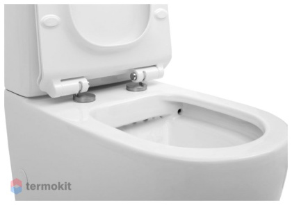 Чаша напольного унитаза Aquanet Rimless Cetus-C1 BL-102N-TPT Чаша напольного унитаза Aquanet Rimless Cetus-C1 BL-102N-TPT