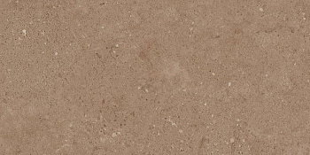 Керамогранит NP03 30,6x60,9x8 Непол.