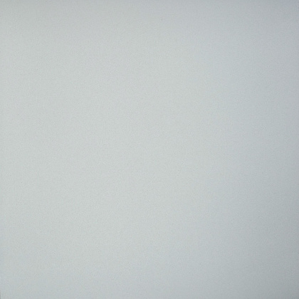 GT009М 600х600 матовый