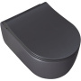 Чаша подвесного унитаза Allen Brau Priority 4.31002.AN антрацит