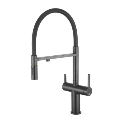 Смеситель для кухни с гибким изливом ROSE R458 R458H