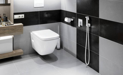 Смеситель встроенный с гигиеническим душем Timo Selene 2089/16SM белый матовый