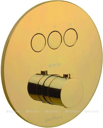 Смеситель для душа Paffoni Compact Box CPT019HG Смеситель для душа Paffoni Compact Box CPT019HG