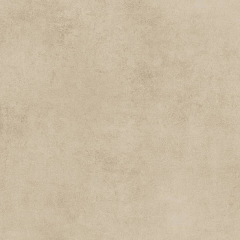 GT60600506MR-3 Керамогранит Stardust_GT Светло-серый 60x60 _ 1\46,08