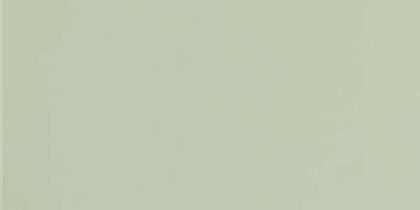 GT079М 600х1200 матовый