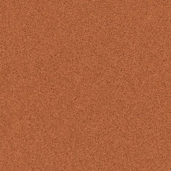 Линолеум Tarkett Primo Plus 305