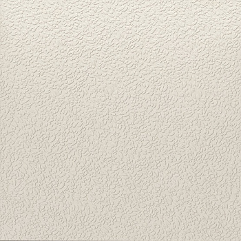 Керамогранит Nisus Neve Rect 120х120