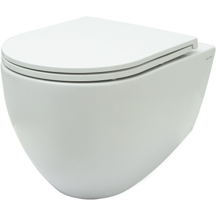 Подвесной унитаз Allen Brau Reality 4.32006.20