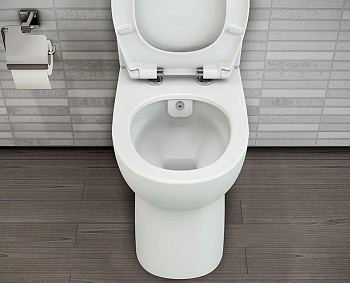 Комплект напольного унитаза Conforma для людей с ограниченными возможностями