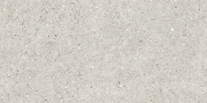 Granito Grigio Керамогранит серый CR6012G0471R 59,5х119,1 матовый