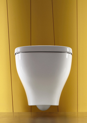 Крышка-сидение Jacob Delafon Struktura плавное опускание, белый Е70024-00, шт Крышка-сидение Jacob Delafon Struktura плавное опускание, белый Е70024-00, шт