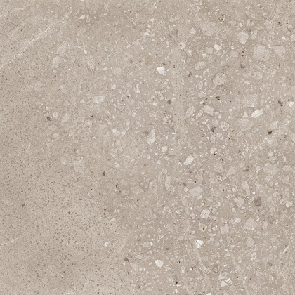 Harley Керамогранит бежевый 50х50 матовый Harley Керамогранит бежевый 50х50 матовый