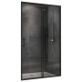 Душевая дверь ABBER Schwarzer Diamant AG30110B5 Душевая дверь ABBER Schwarzer Diamant AG30110B5