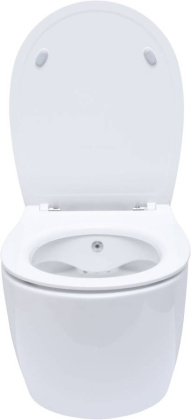 Подвесной унитаз Allen Brau Fantasy 4.11HC1.20