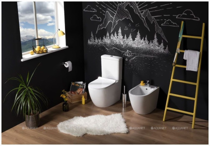 Сливной бачок Aquanet Cetus-C2 BL-102N-TPT