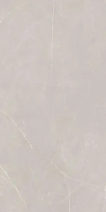 NL02 60x120x10 Непол.Рект. (Керамический гранит)