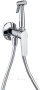 Смеситель с гигиеническим душем Aquanet Passion AF300-52С (с внутренней частью)