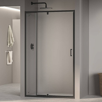 Душевая дверь RGW PA-008B, RGW 350800889-14