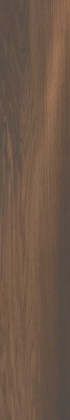 Фоссил Вуд коричневый тёмный обрезной 40x238,5x1,1 Фоссил Вуд коричневый тёмный обрезной 40x238,5x1,1