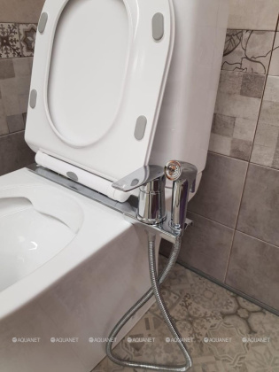 Orange Sofi M43-831cr Смеситель с гигиеническим душем для установки на унитаз. Цвет: хром Orange Sofi M43-831cr Смеситель с гигиеническим душем для установки на унитаз. Цвет: хром